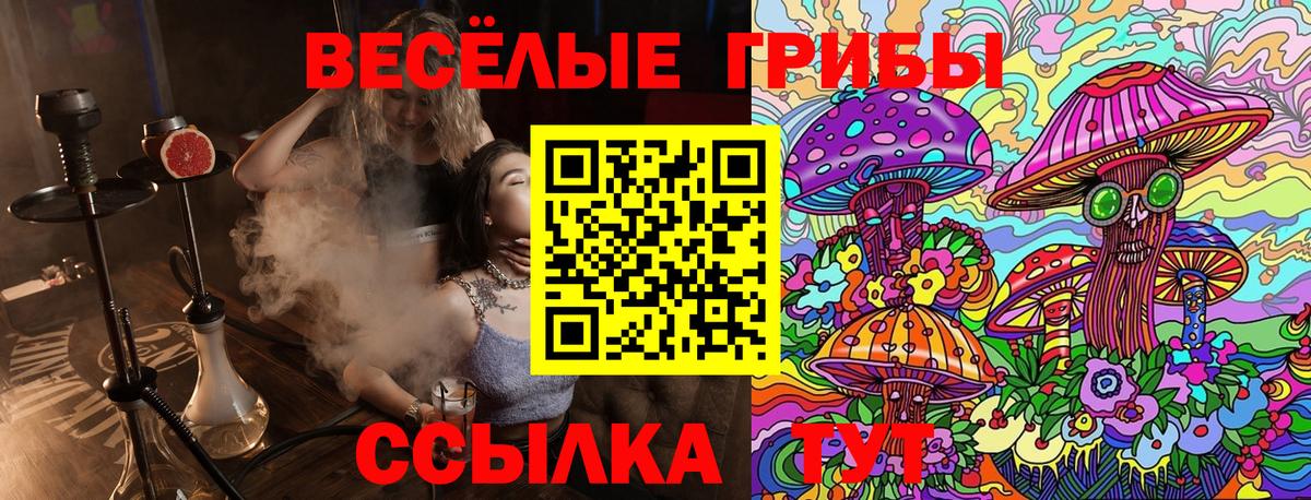 Псилоцибиновые грибы Psilocybine cubensis  Галлюциногенные грибы мухоморы  Вход с VPN  Саянск 