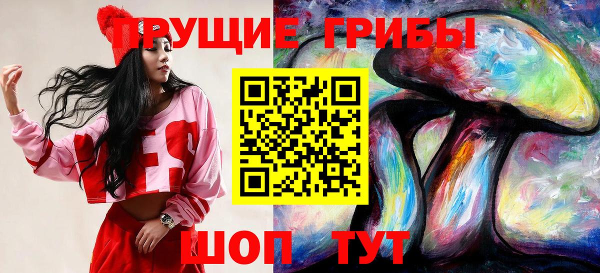 Псилоцибиновые грибы GOLDEN TEACHER Саянск